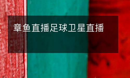 章魚(yú)直播足球衛(wèi)星直播