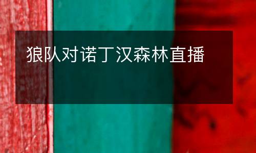 狼隊(duì)對諾丁漢森林直播